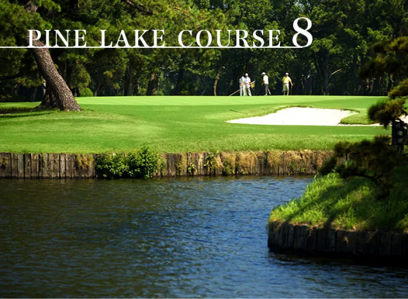 호수 근처의 골프장에서 멀리 보이는 골퍼들, 이미지 상단에 Pine Lake Course 8 이라는 문구가 쓰여 있다.